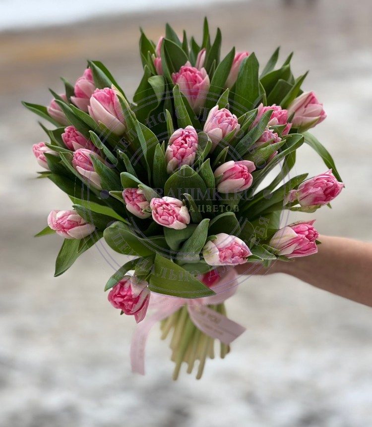 Букет Валерия Весенний букет из бело-розовых тюльпанов