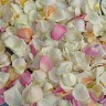 Лепестки роз - rosepetals3.jpg