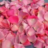 Лепестки роз - rosepetals1.jpg