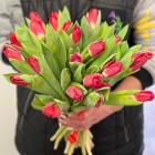 Букет Красный тюльпан - 