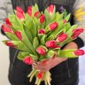 Букет Красный тюльпан - Букет Красный тюльпан