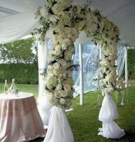 Свадебная арка из живых цветов №8