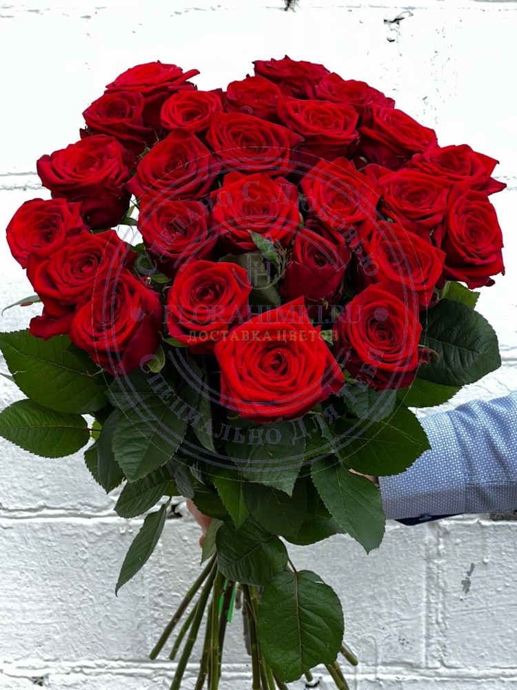 Красные розы Кения (50 см.)  Красные розы Кения (50 см.) 