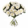 Букет из белой одноголовой хризантемы (игольчатой) - Букет из белой одноголовой хризантемы (игольчатой)