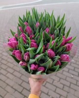 Букет Розовый тюльпан 