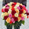 Букет из 51 розы (цвет на выбор) - Букет из 51 розы (цвет на выбор)