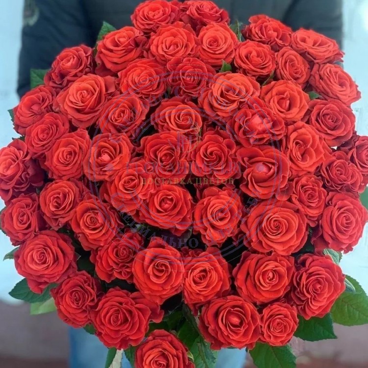 Букет из 101 розы Эль Торо (El Toro) России 40 см. 101 роза сорта Эль-Торо, 101 роза, букет из 101 розы 