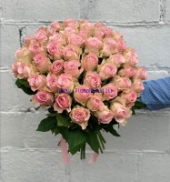 Букет из 51 розовой розы (40 см.)
