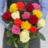 Букет из 15 разноцветных роз - Букет из 15 разноцветных роз