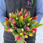 Букет 51 разноцветный тюльпан - 