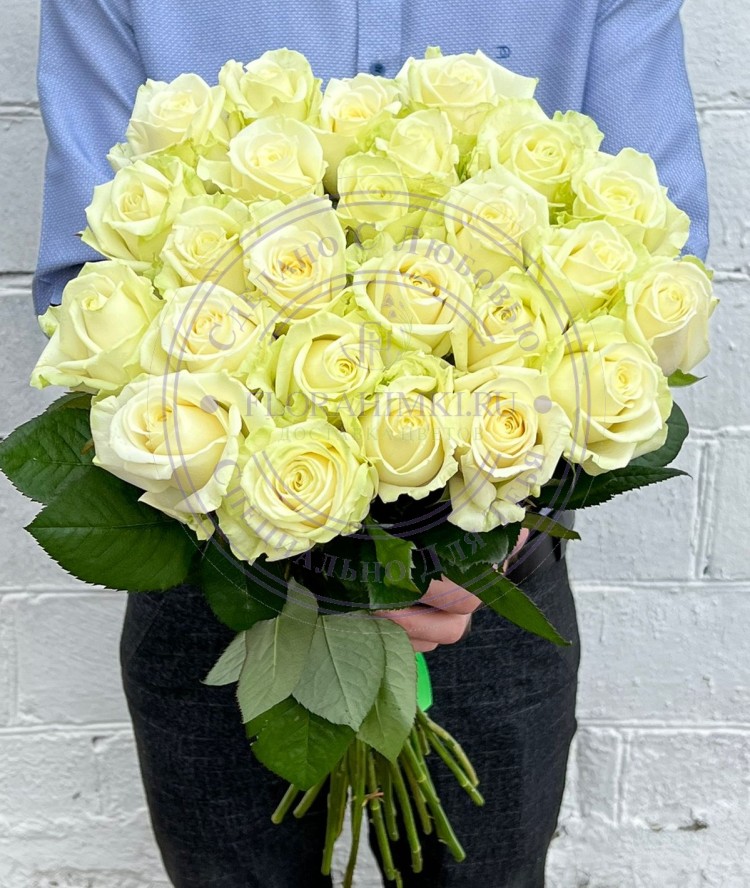 Букет из 21 белой розы 21 белая ароматная роза Аваланж (Avalanche) с превосходным качеством от Российского производителя