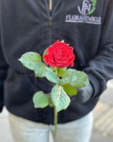 Роза красно-кирпичного цвета Эль Торо (El Toro)