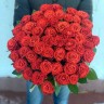 Роза красно-кирпичного цвета Эль Торо (El Toro) - Роза красно-кирпичного цвета Эль Торо (El Toro)